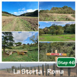 Francigena Map step 46