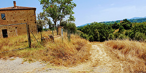 Via Francigena San Gimignano - Colle Val d'Elsa