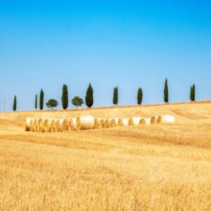siena viterbo