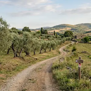 esperienza action ia generata generica