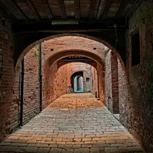 esperienza action buonconvento