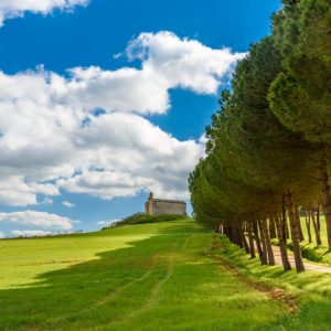 Heart of Tuscany (2)